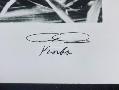 Alberto KORDA - Fidel Castro dans un champ de cannes à sucre - Photographie 2