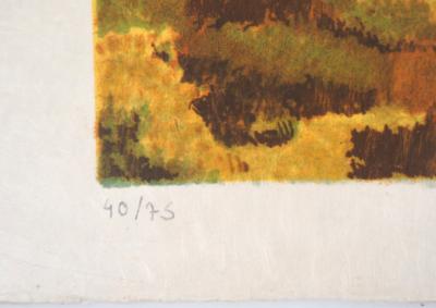 Jean-Pierre CAPRON : Village de montagne - Lithographie originale signée 2
