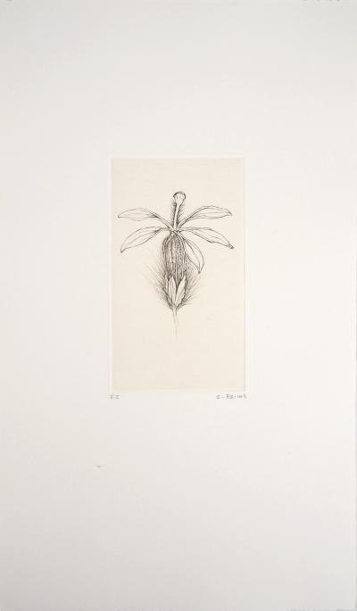 Cecile REIMS : Fleur fleurie - Gravure originale signée 2