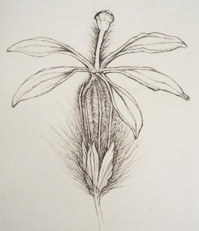 Cecile REIMS : Fleur fleurie - Gravure originale signée 2