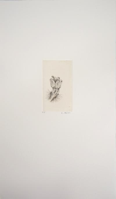 Cecile REIMS : Fleur surréaliste - Gravure originale signée 2