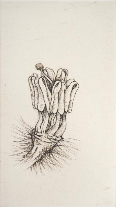 Cecile REIMS : Fleur surréaliste - Gravure originale signée 2