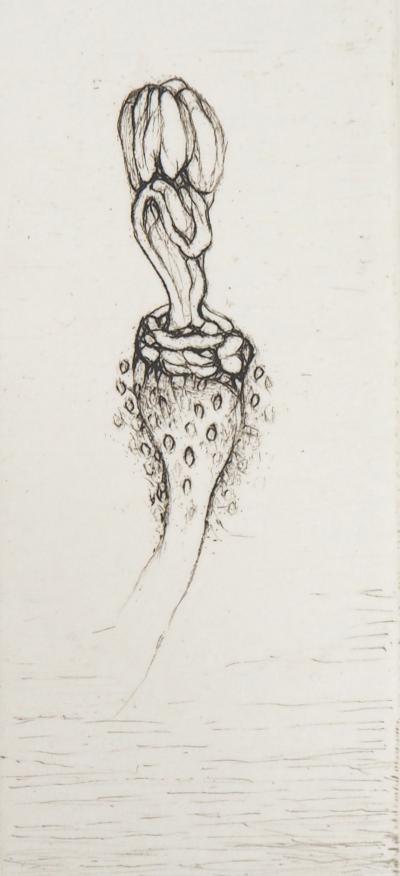 Cecile REIMS : Fleur curieuse - Gravure originale signée 2