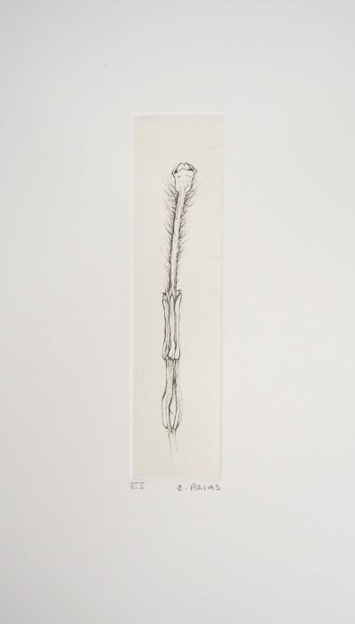 Cecile REIMS : Fleur séductrice - Gravure originale signée 2