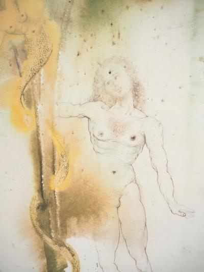 Salvador DALI : Péché originel - Lithographie originale signée 2