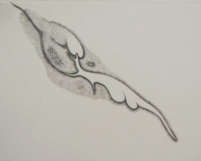 Cecile REIMS : Cosmogonies, 1959 - Gravure originale signée 2