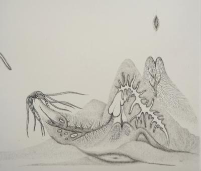 Cecile REIMS : Cosmogonies, 1959 - Gravure originale signée 2
