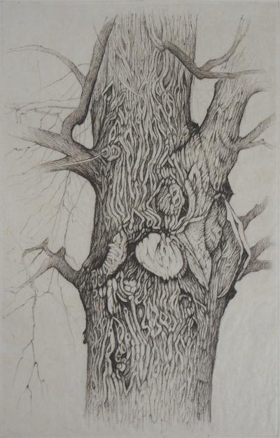 Cecile REIMS : Arbre, Esprit de la nature - Gravure originale signée 2