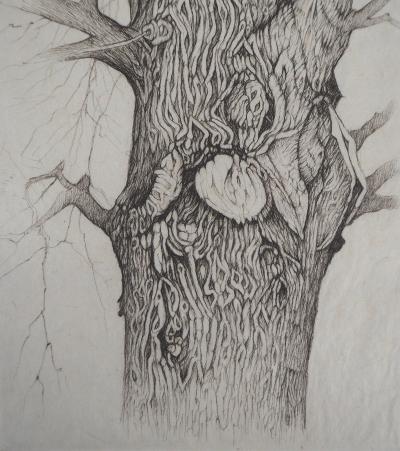Cecile REIMS : Arbre, Esprit de la nature - Gravure originale signée 2