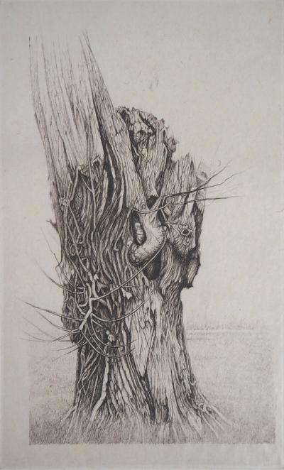 Cecile REIMS : Saule - Gravure originale signée 2