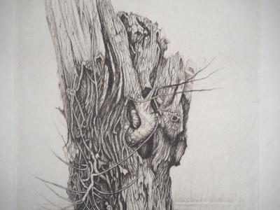 Cecile REIMS : Saule - Gravure originale signée 2