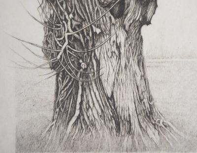 Cecile REIMS : Saule - Gravure originale signée 2