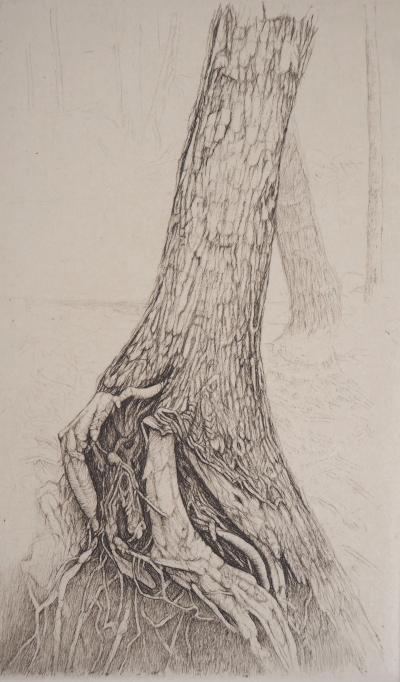 Cecile REIMS : Force de la nature - Gravure originale signée 2