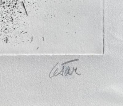 César - Les pichets, 1992 - Gravure originale signée et numérotée au crayon 2