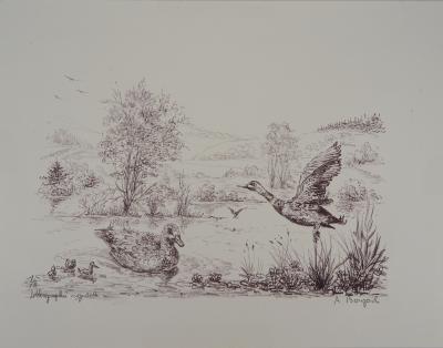 André BOUGEROL : Canards sur l’eau - Lithographie originale signée 2