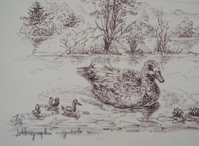 André BOUGEROL : Canards sur l’eau - Lithographie originale signée 2