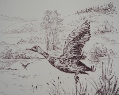 André BOUGEROL : Canards sur l’eau - Lithographie originale signée 2