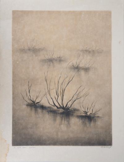 ZAROU : Désert - Lithographie originale signée 2