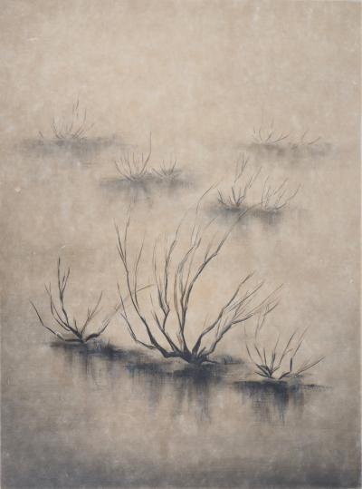 ZAROU : Désert - Lithographie originale signée 2