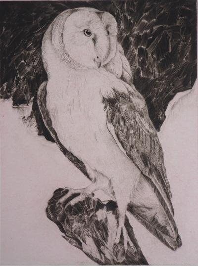 VERDIER : Hibou, 1982 - Gravure originale signée 2