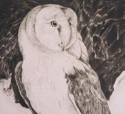 VERDIER : Hibou, 1982 - Gravure originale signée 2