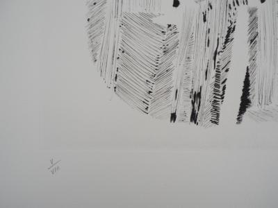 ARMAN - Violin and spare parts - Original signed etching 2