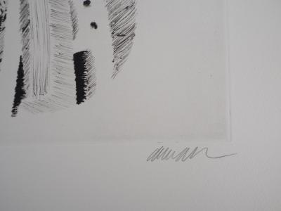 ARMAN - Violin and spare parts - Original signed etching 2