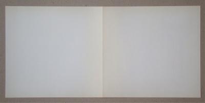 Josef ALBERS (after) - Homage to the Square - Grisaille and Patina, 1977 - Silkscreen print 2