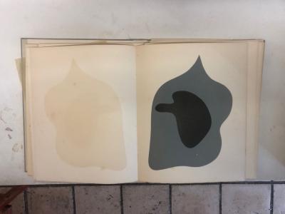 Jean ARP 