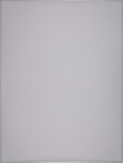 Damien HIRST - Colourful Blossom, Cerisiers en fleurs, 2021 - Offset poster 2