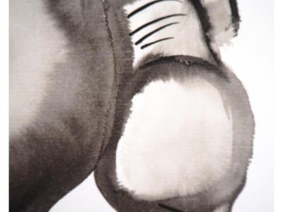 Laszlo TIBAY -  Eléphant swing - Dessin original, signé 2