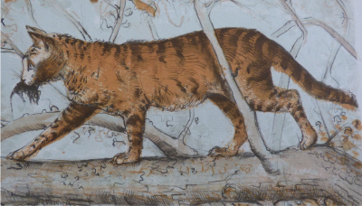 Blaise PRUD’HON - Le chat - Lithographie originale signée 2