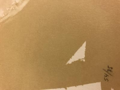 Laddie John DILL - Aerial Landscape 3, 1988 - Lithographie signée au crayon 2