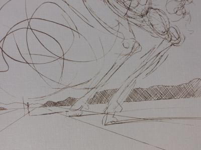 Salvador DALI (d’après) - Don Quichotte - Lithographie signée 2