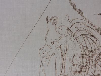 Salvador DALI (d’après) - Don Quichotte - Lithographie signée, édition limitée 2