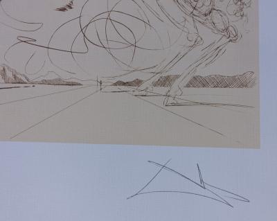 Salvador DALI (d’après) - Don Quichotte - Lithographie signée, édition limitée 2