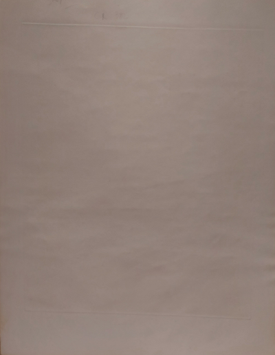 Stanley William HAYTER  - Marais 1976  - Gravure originale signée et justifiée au crayon 2
