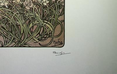 Alphonse MUCHA (D'après) - Les fleurs : L'Œillet  - Photolithographie en couleur 2