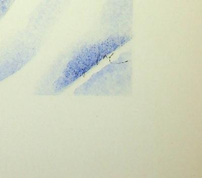 Milivoj UZELAC - Le Water-Polo  - Lithographie originale signée 2