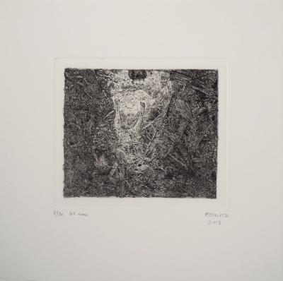 Philippe Mohlitz - Trésors de pirates, 2013 - Gravure et eau-forte originale signée 2