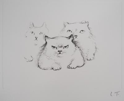 Léonor FINI - Chat de la famille - Gravure originale signée 2