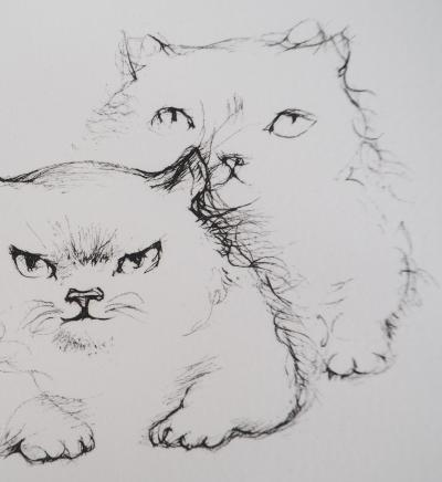 Léonor FINI - Chat de la famille - Gravure originale signée 2