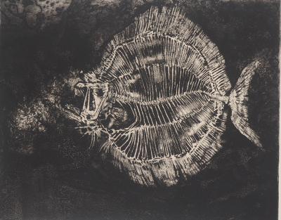 Michel Ciry - Squelette de poisson, 1961 - Gravure originale signée 2