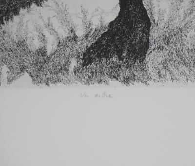 Auguste Lepère - Un arbre - Gravure originale 2