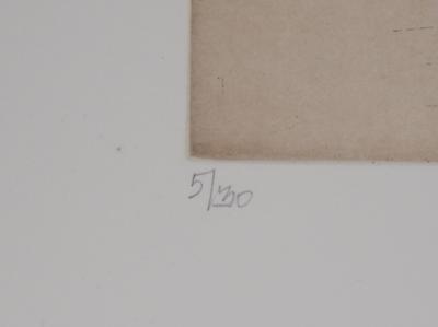 François Vincent - Corrida : Le travail d’un expert, 1995 - Gravure originale signée 2