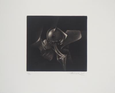 Michel Roncerel - Fantasy in black and white, 2005 - Original signed etching 2