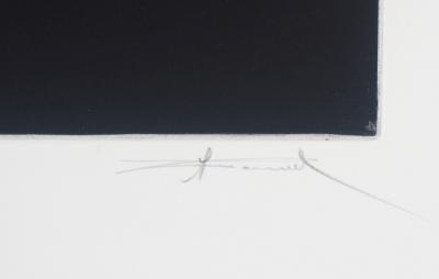Michel Roncerel - Pique de colère - Gravure originale  signée 2