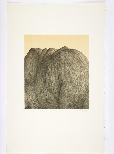 François-Xavier LALANNE - Polymorphose, 1978 - Portfolio de 16 lithographies originales signées et numérotées 2