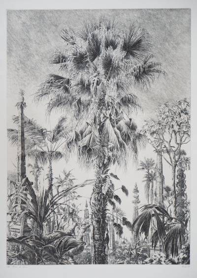 François HOUTIN - Palmiers de Chine, 1989 - Gravure originale signée 2
