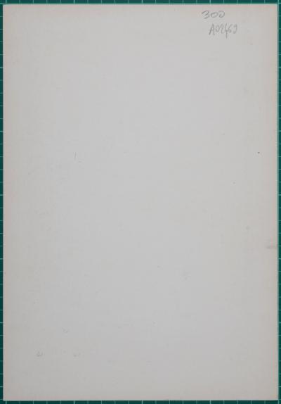 Anton SCHROLL - Die Fläche, c. 1910 - Original small lithograph poster 2